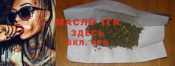 индика Арсеньев