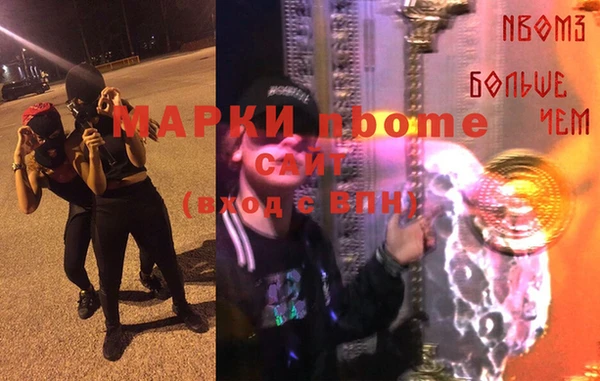 индика Арсеньев