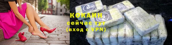 ешки Аркадак