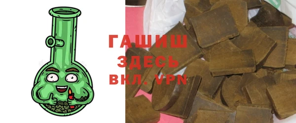 индика Арсеньев