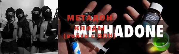 индика Арсеньев
