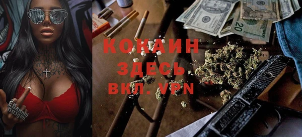 индика Арсеньев