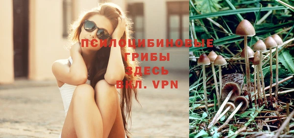 индика Арсеньев