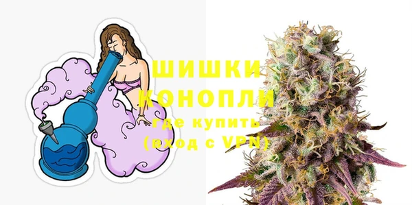 ешки Аркадак