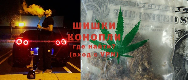 индика Арсеньев