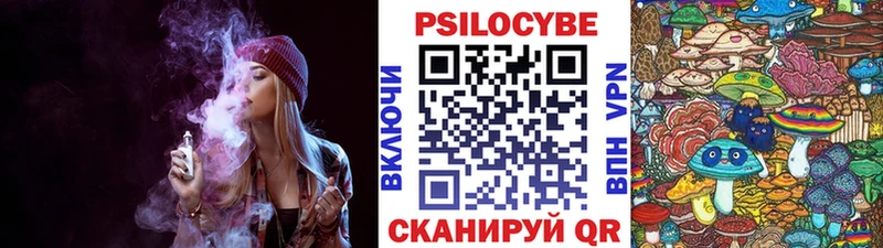 Псилоцибиновые грибы мицелий Строитель